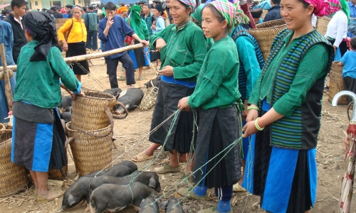 Bước chuyển mình ở mảnh đất địa đầu Hà Giang